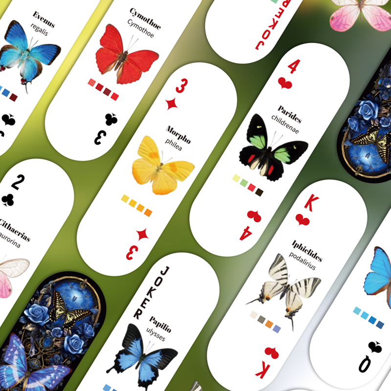 Mr.Paper Table Card Game 54/Bo - Graded Card Display recensie en prijs